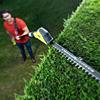 Ryobi ONE+ Pole Saw & Pole Hedge Trimmer Dual Pack (3x 2.0Ah) 18V OPP-OPT-320