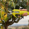 Ryobi ONE+ Secateurs 18V RY18SCA-120 2.0Ah Kit