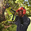 Ryobi ONE+ Brushless Pruning Saw Kit (1 x 2.0Ah) 18V RY18PSX10A-120